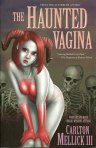 the haunted vagina bizarro fiction